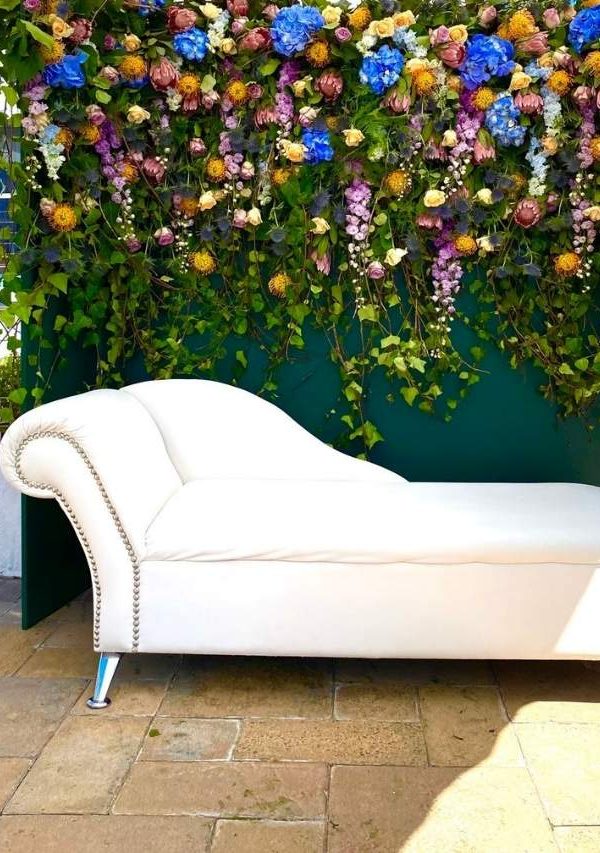 Colourful South African Flowers - D&D